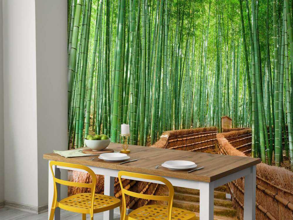 Staircase between bamboo plants