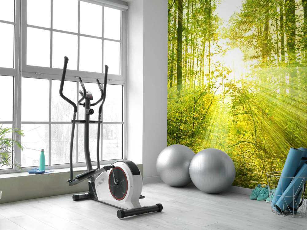 Sunshine in a green forest