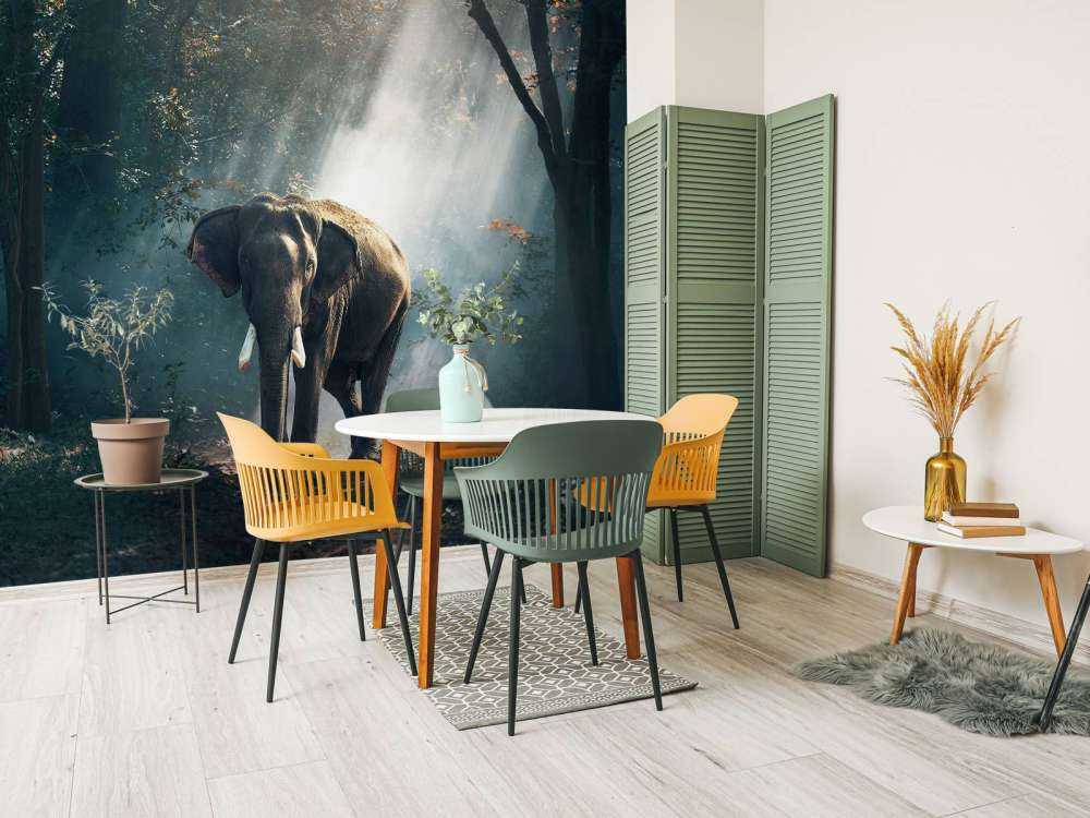 Elephant in a jungle