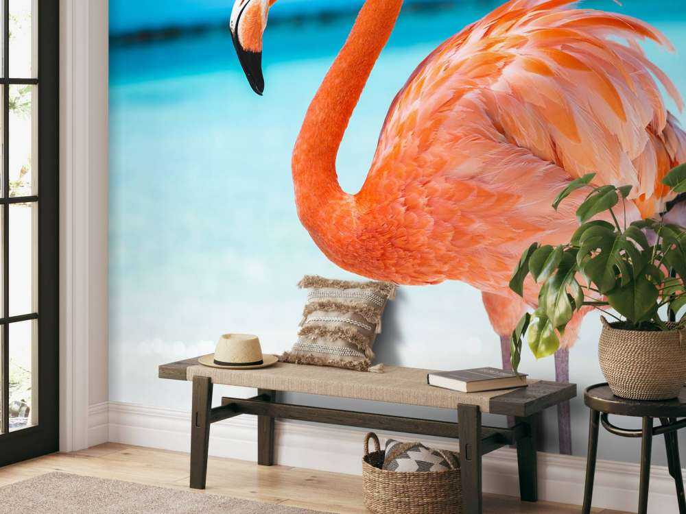 Tropical flamingo