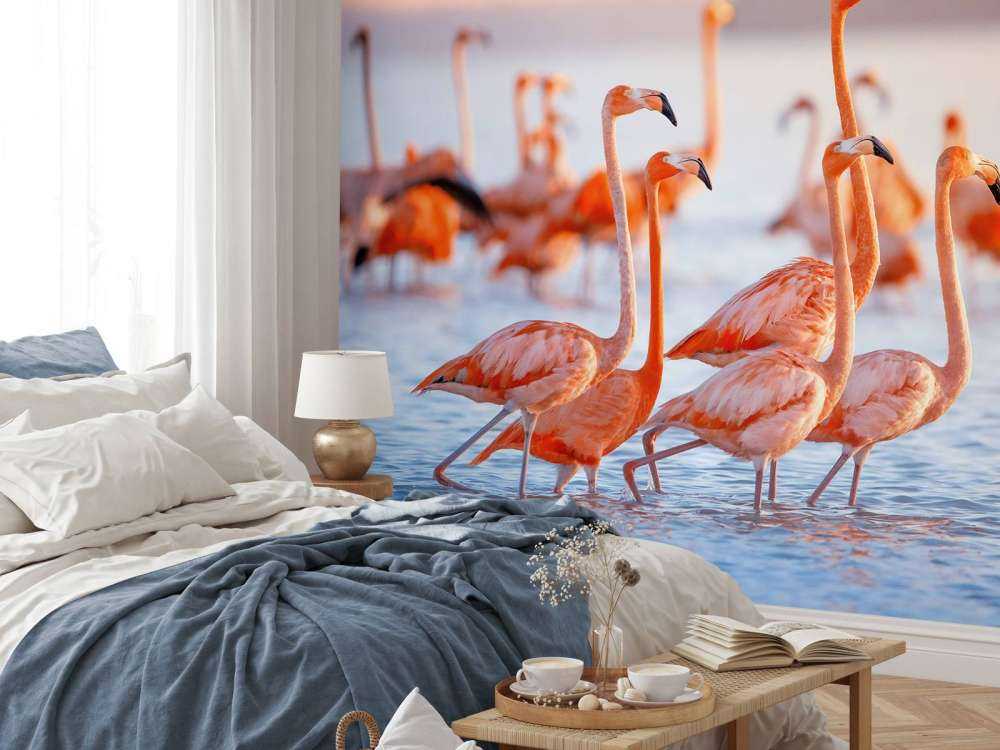 Staring flamingos