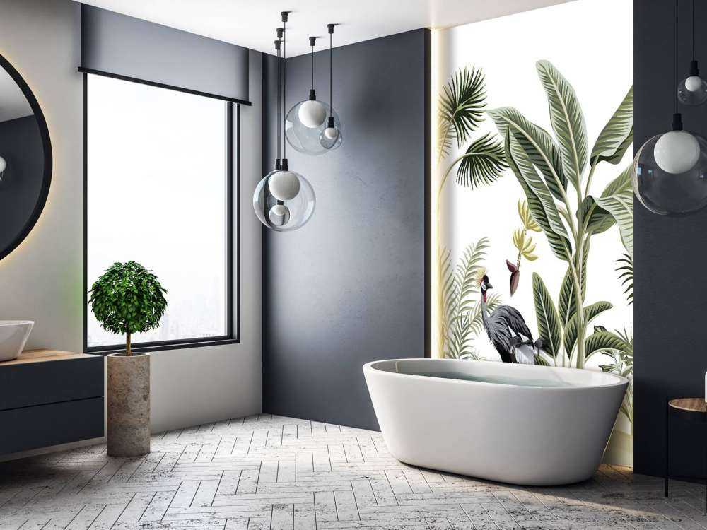 Cranes in the jungle