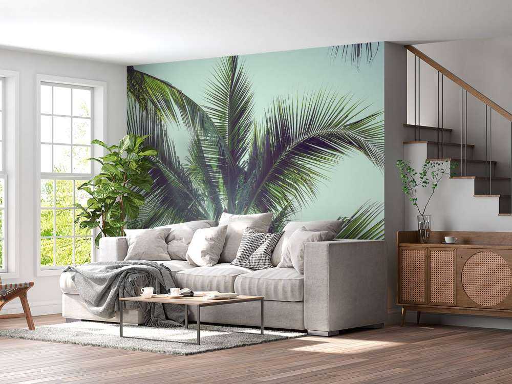 Palm trees in the sun