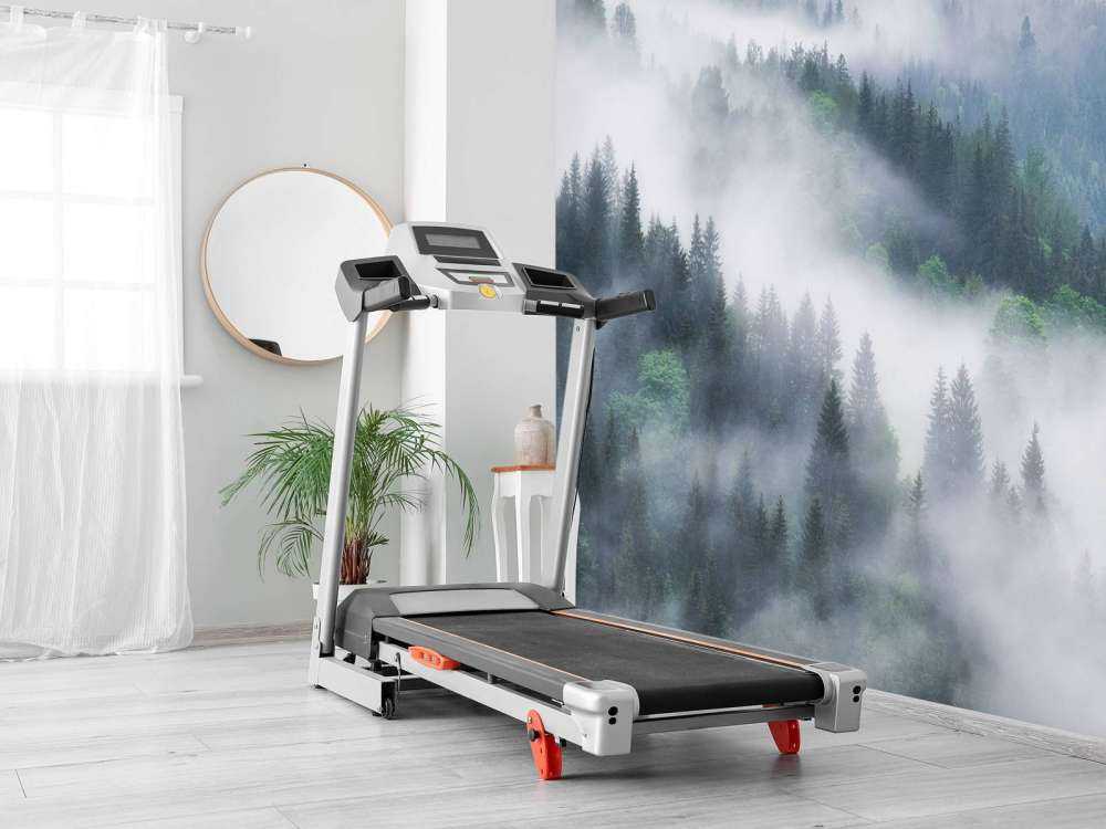 Foggy forest in the mountains