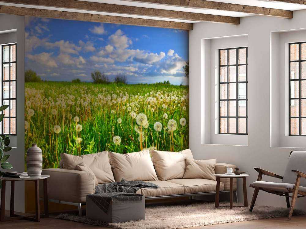 Field of Dandelions