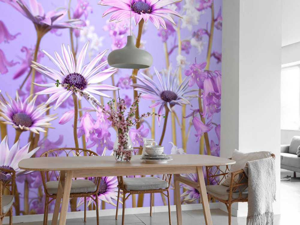 Colourful purple flowers