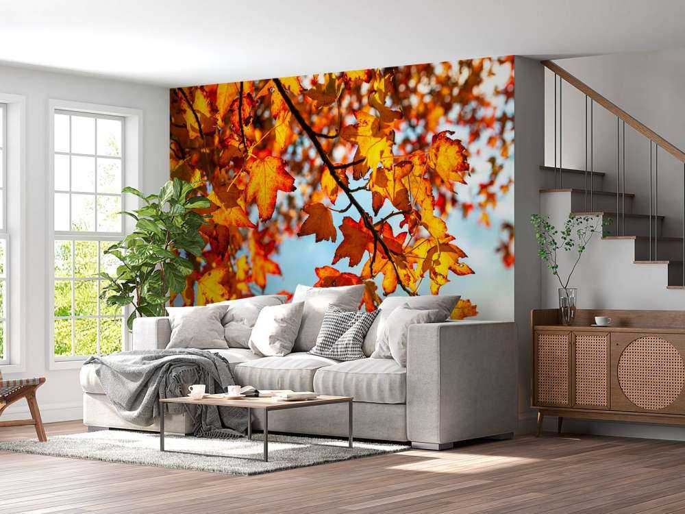 Autumn leaves