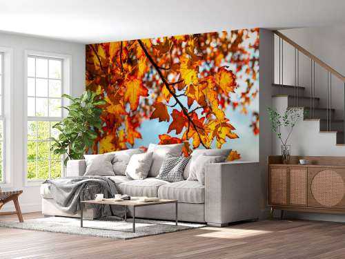 Autumn leaves