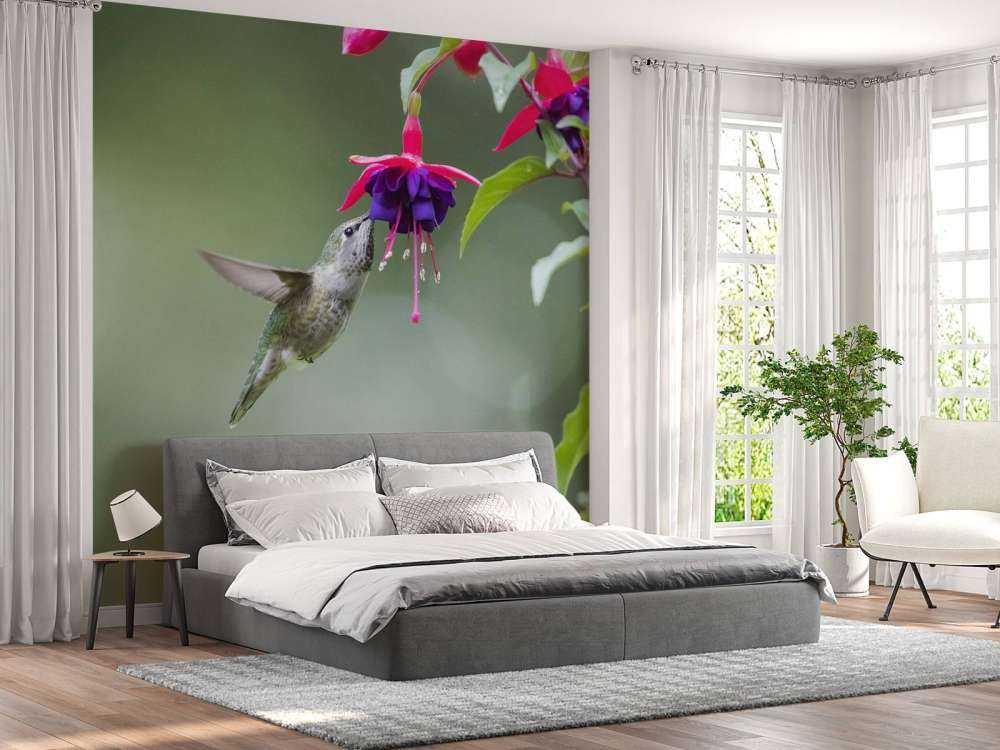 Hummingbird drinking