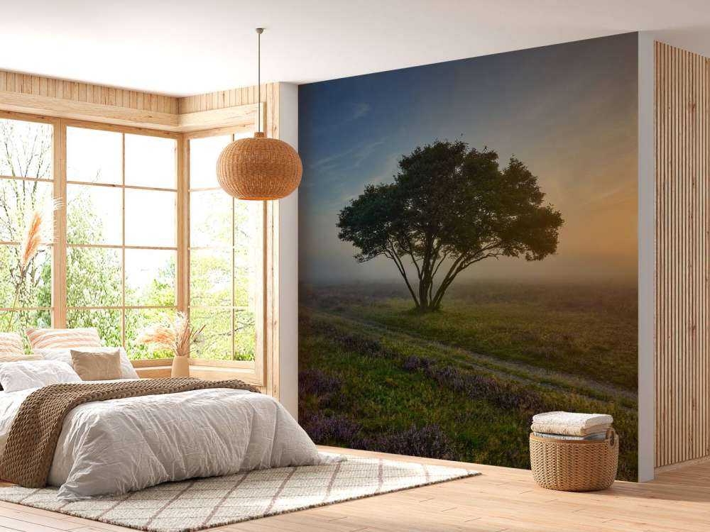 Sunrise on the heath