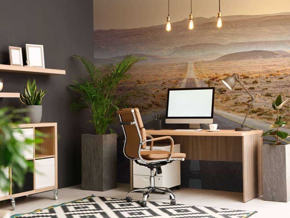 Highway through desert