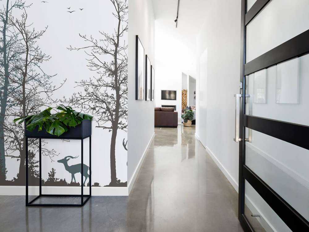 Winter Contour Forest Silence