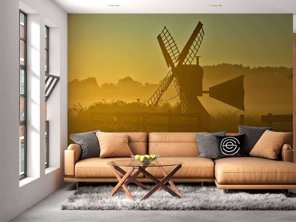 Meadow mill at sunrise