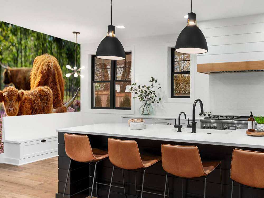 Family Scottish Highlanders