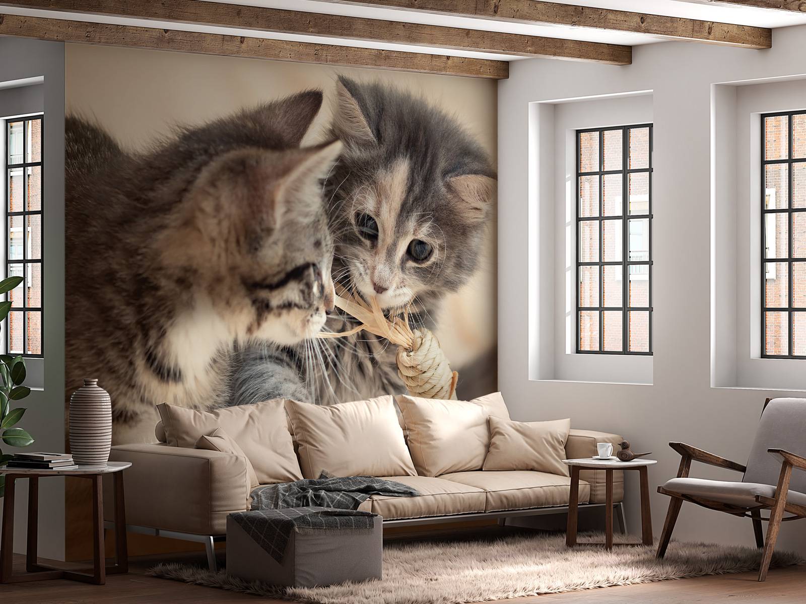 Playing kittens