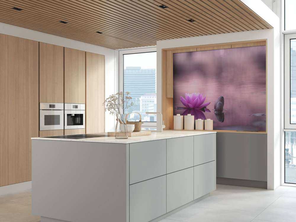 Lotus flower in pond