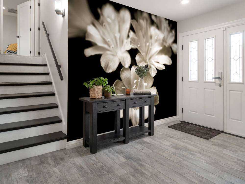 Lewisia blossom close-up