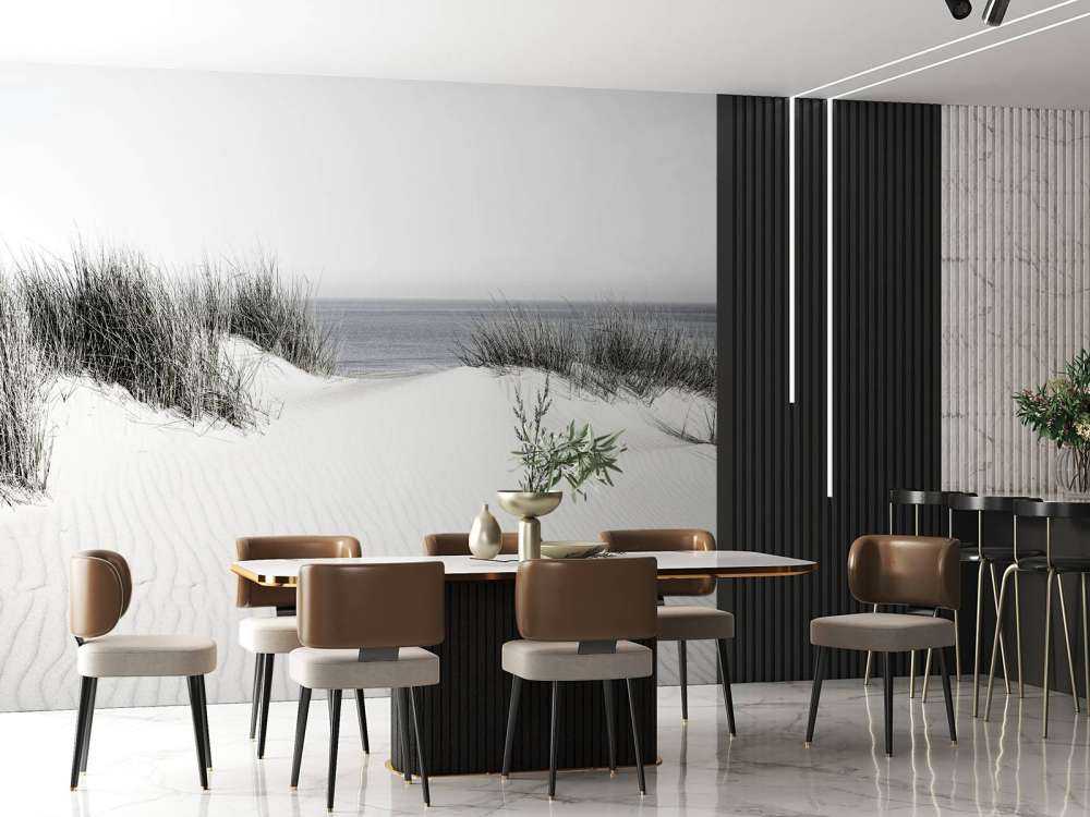 Dune passage to the beach black and white