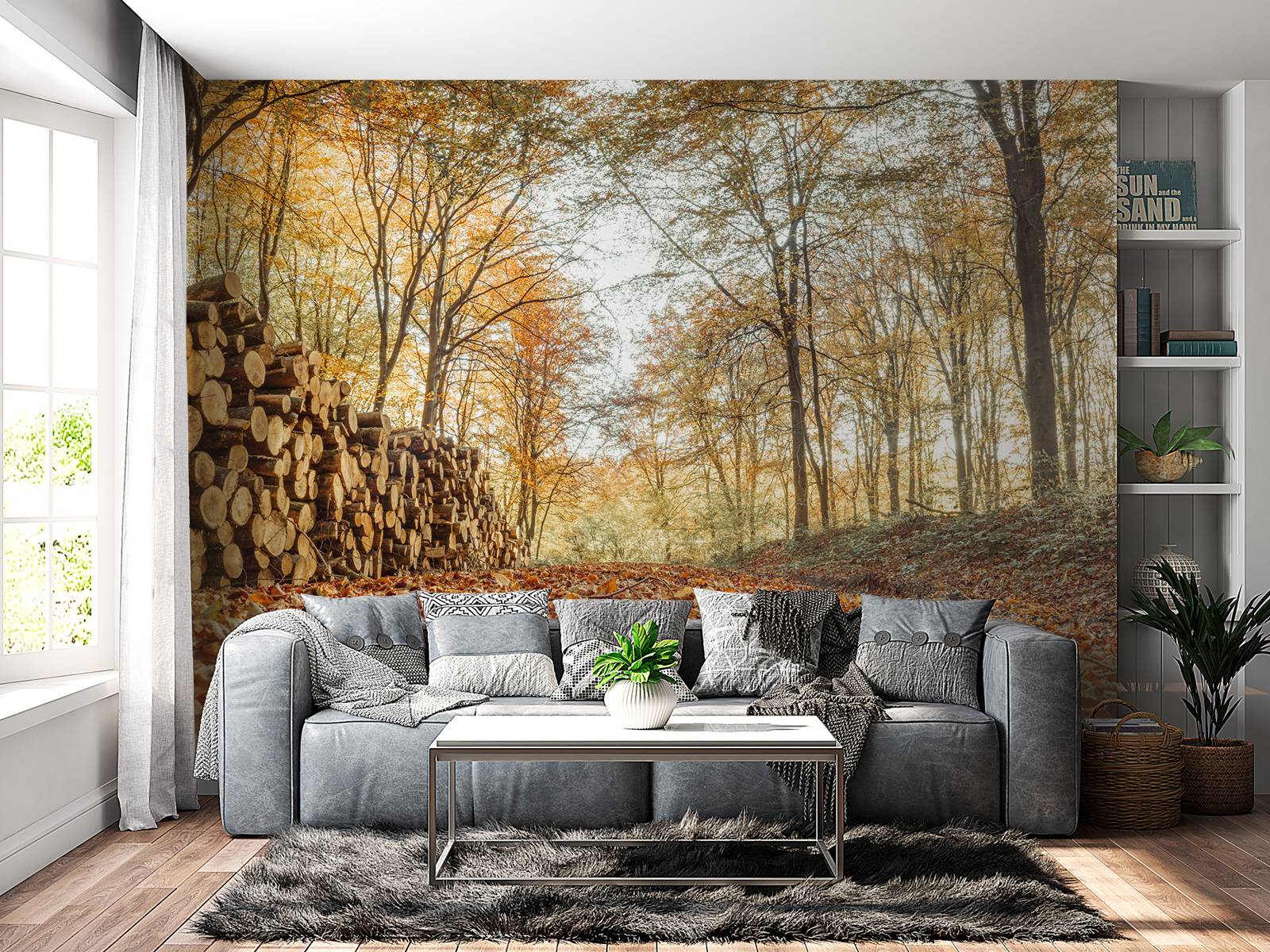Tree trunks in autumn forest
