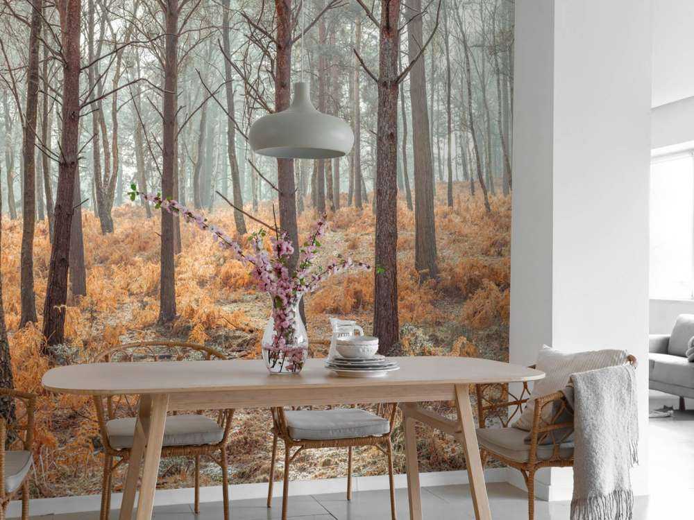 Forest during autumn