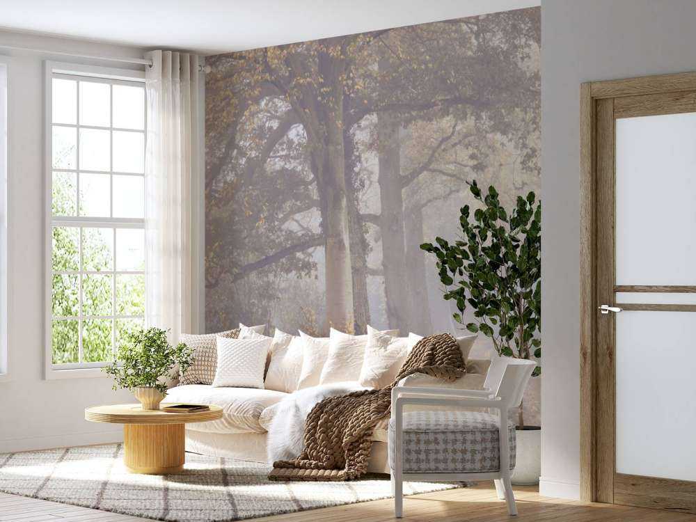 Misty road with trees