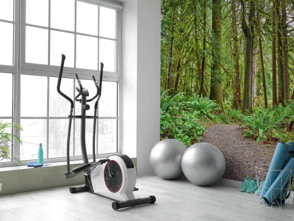 Path with stones through the forest 