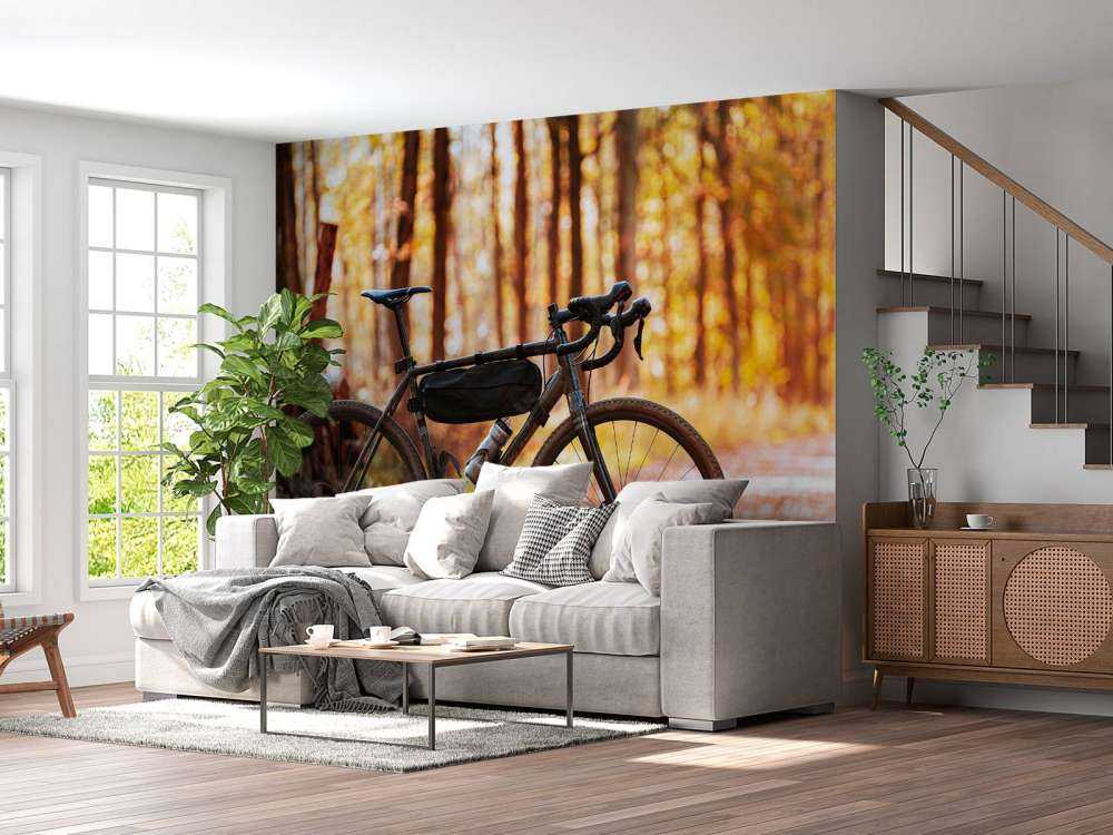 Bike in autumn