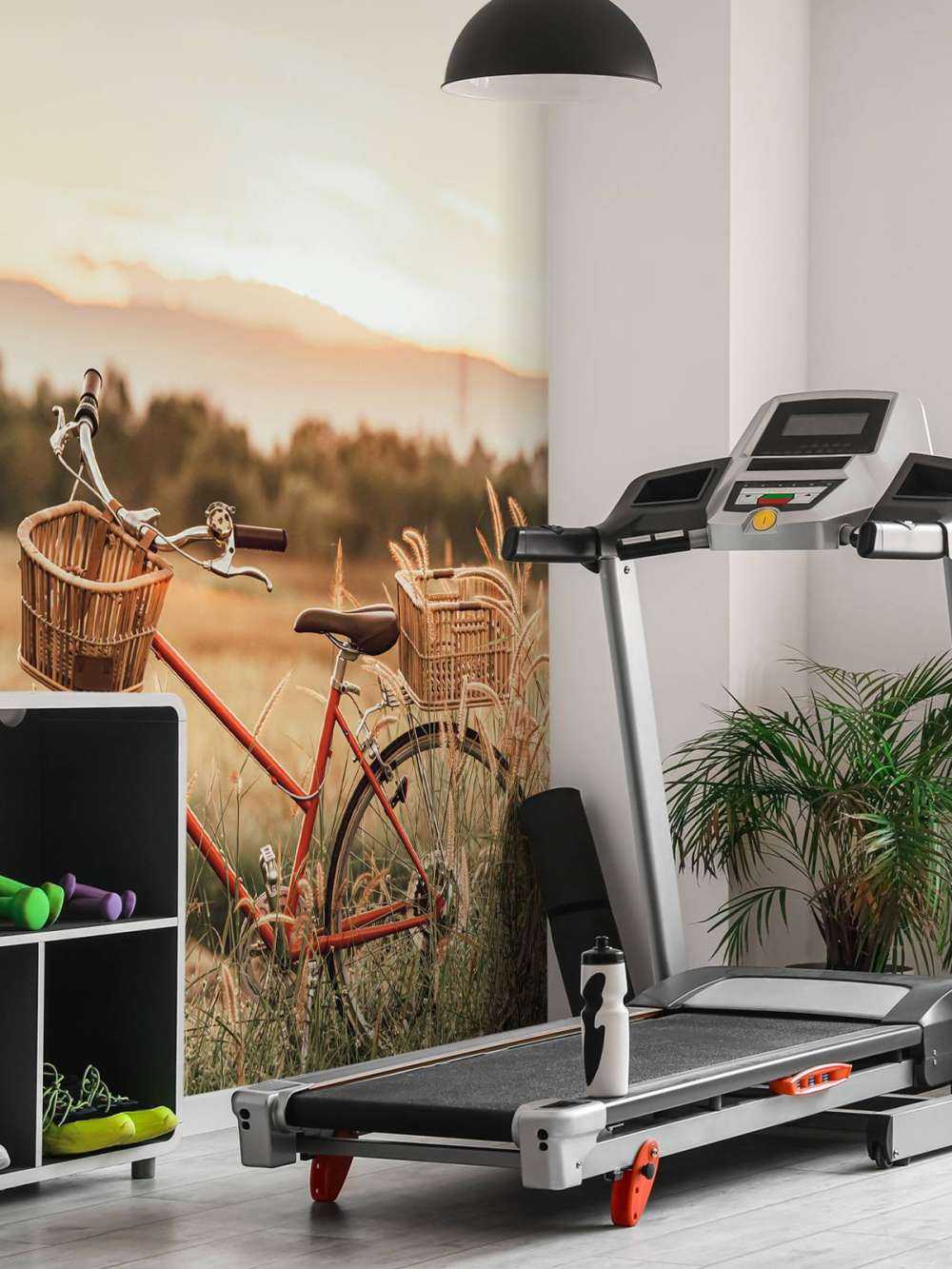 Vintage bike in summer