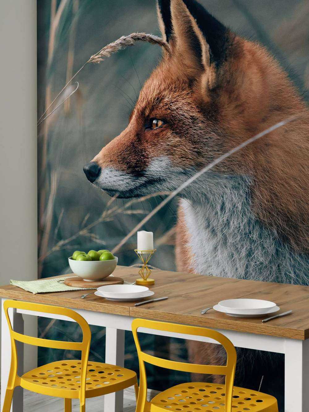 Fox in the dunes