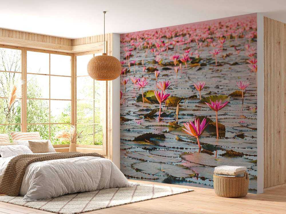 Sea of lotus flowers