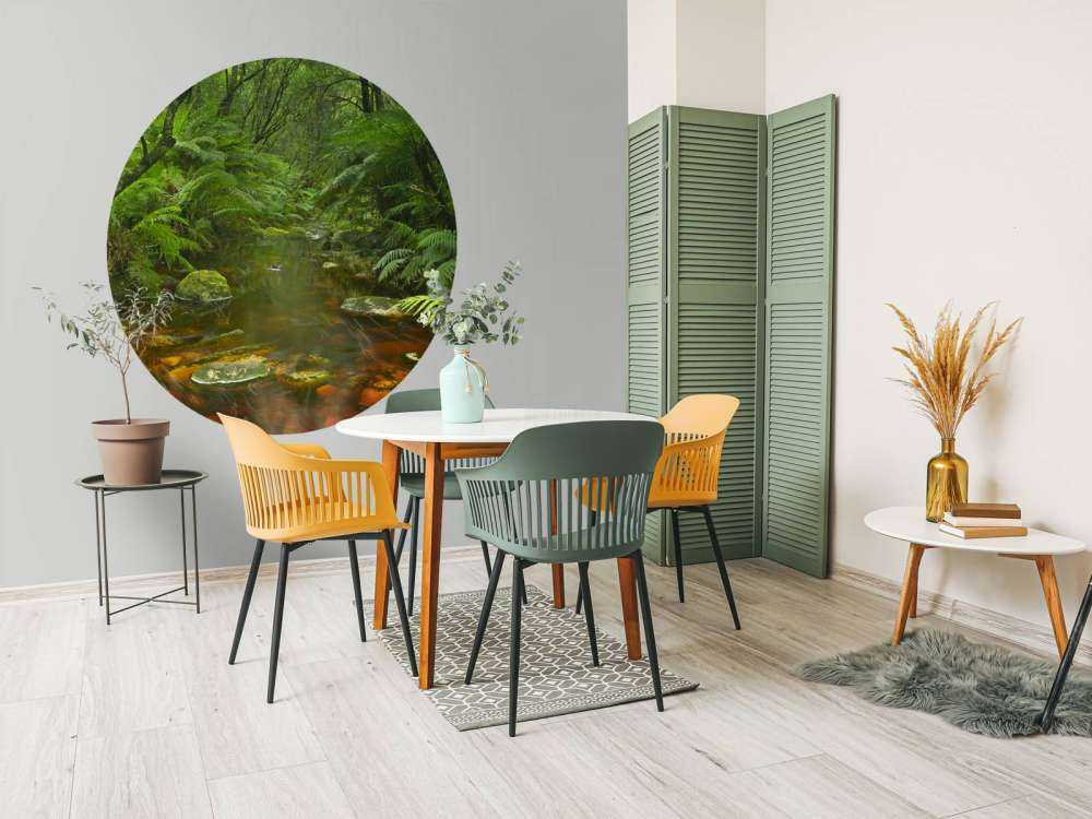 River in the rainforest