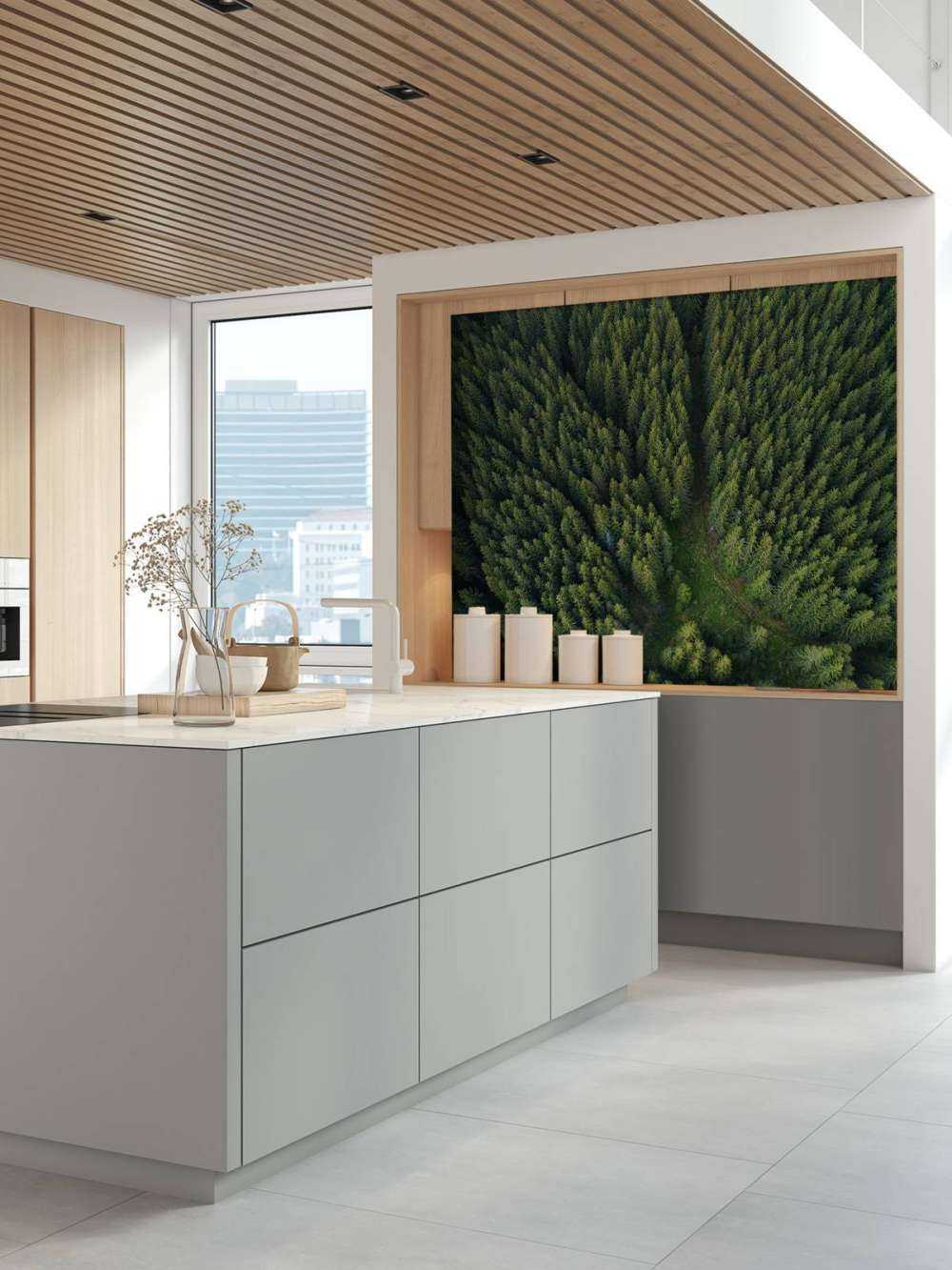 Pine forest from above