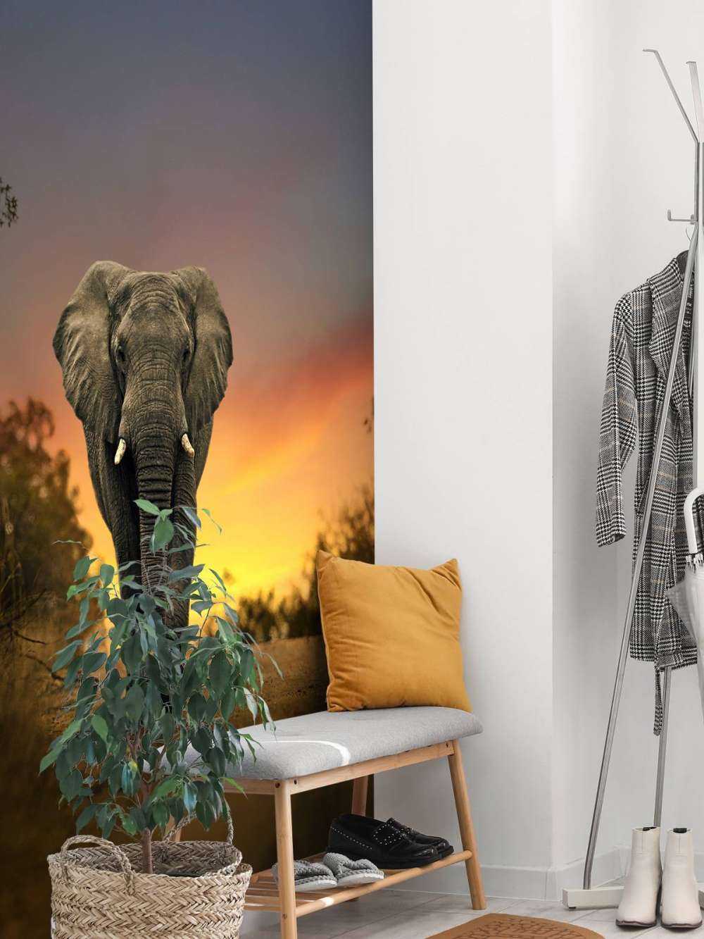 Elephant in the sunset