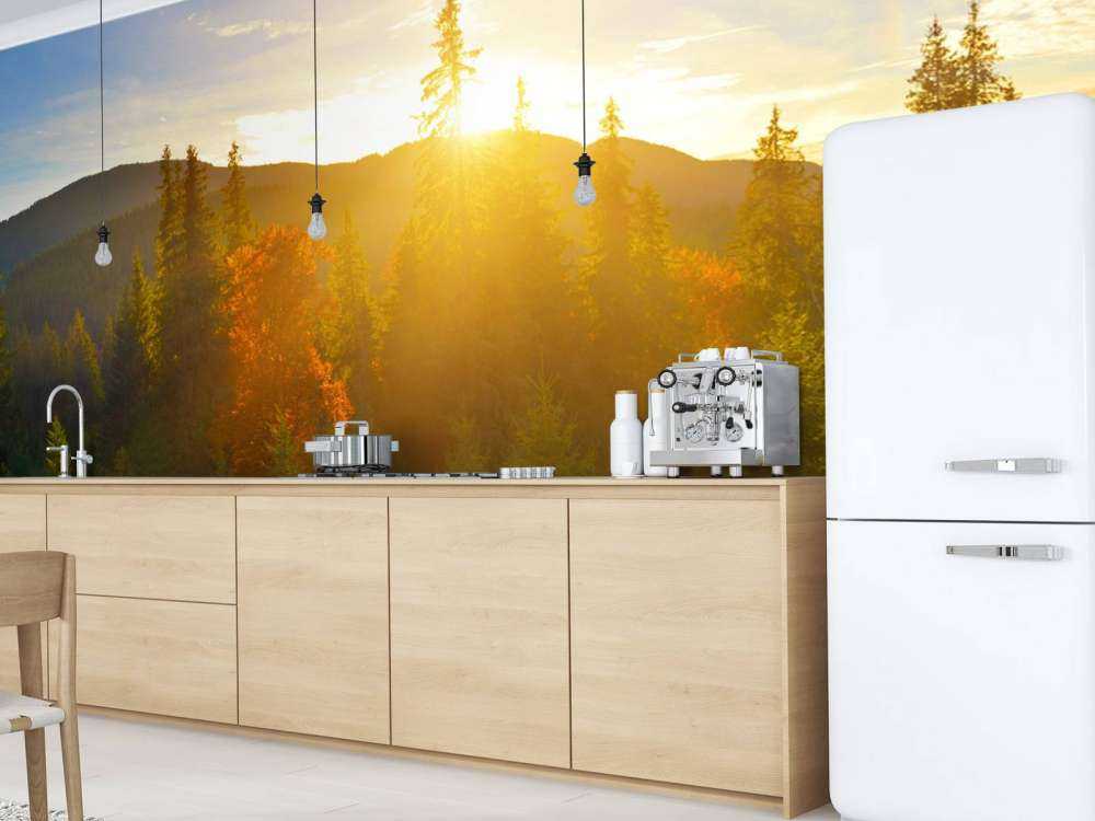 Pine forest panorama