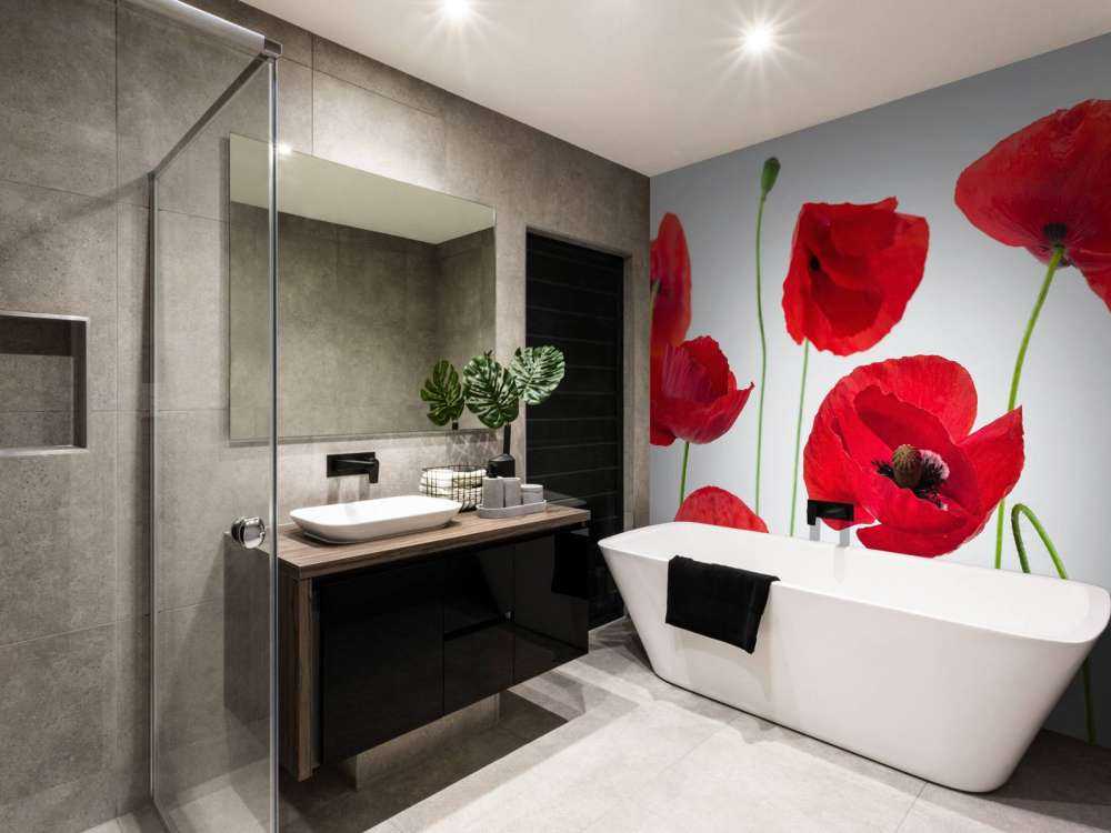 Poppies on white background