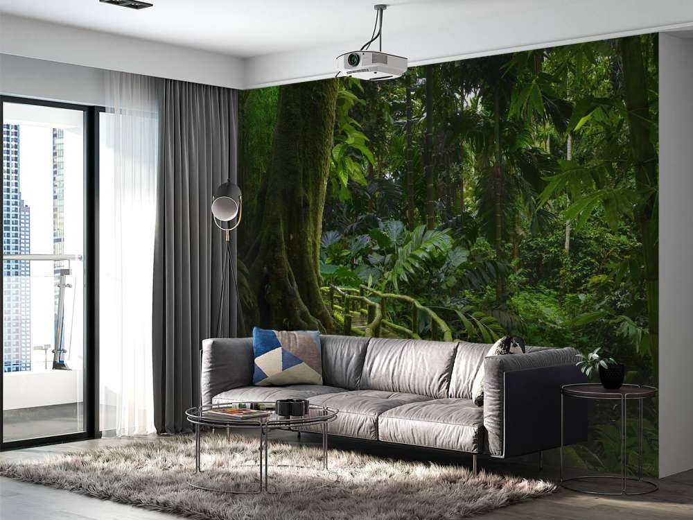 Narrow jungle bridge