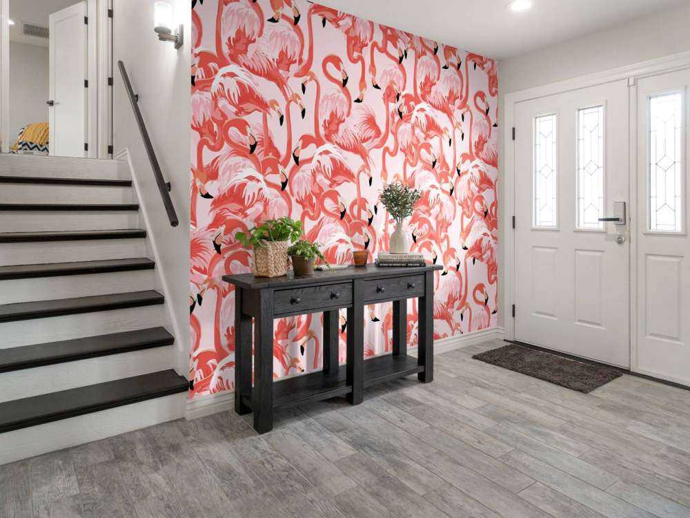 Exotic flamingos