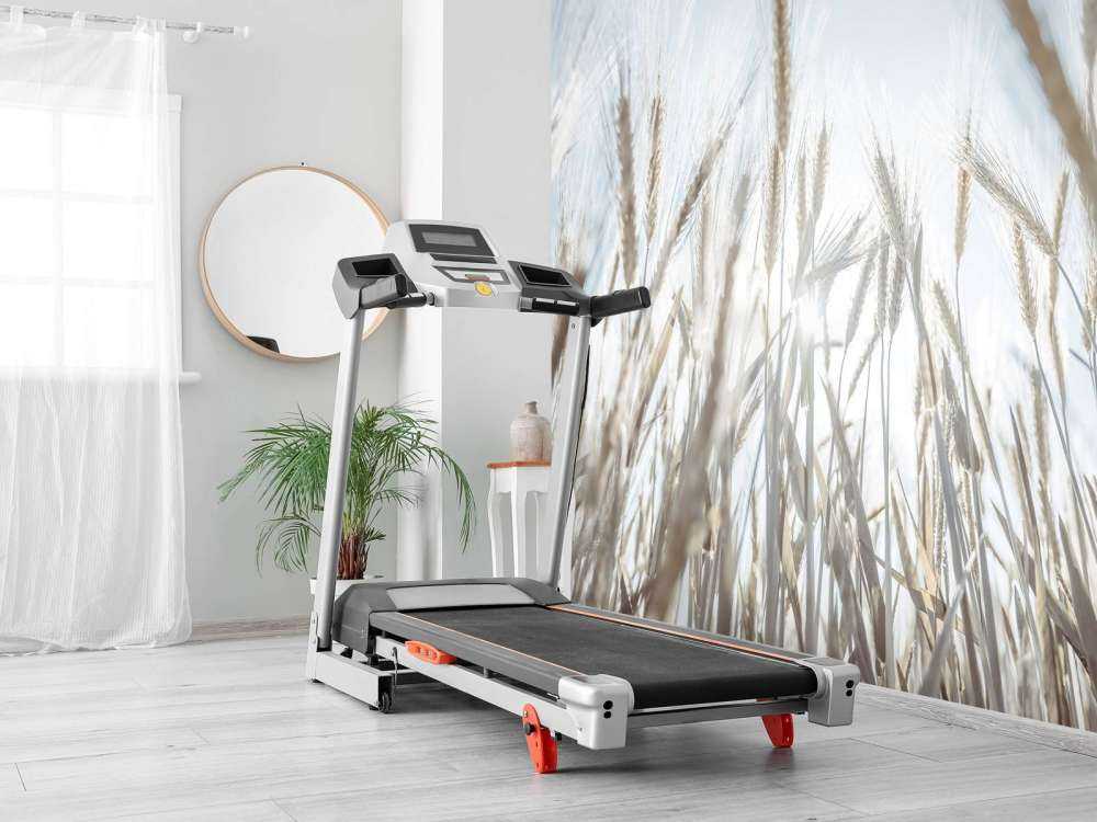 Sunbeams through the grain