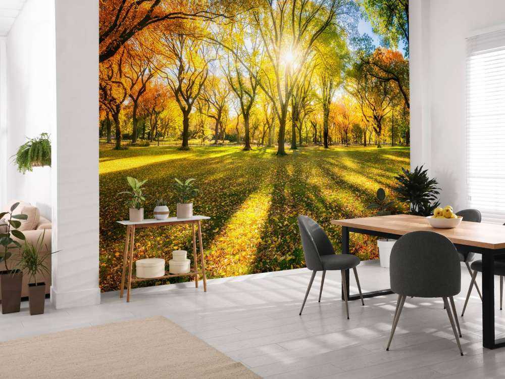 Colourful autumn forest