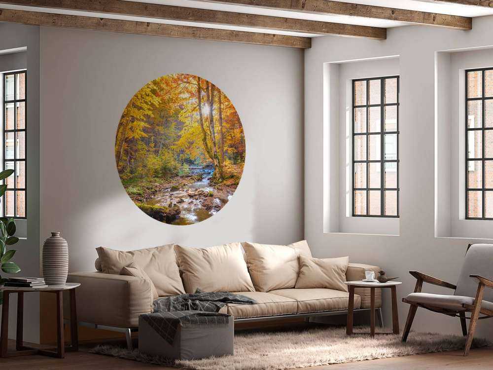 Autumn in wild forest