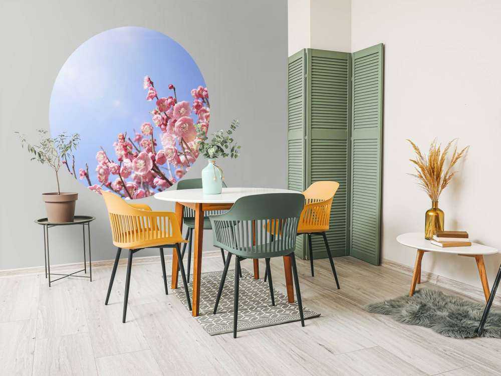 Blossoms with blue sky