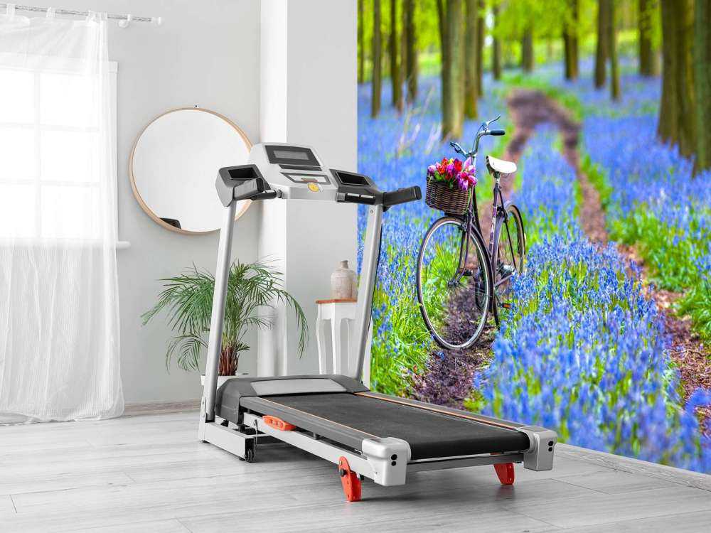 Bicycle in the forest