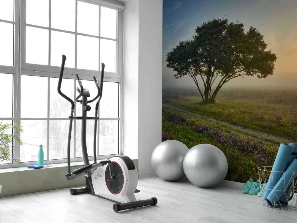 Sunrise on the heath