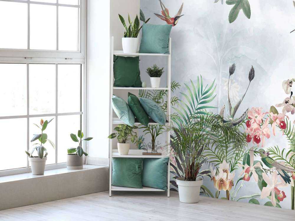 Tropic and Orchids 5