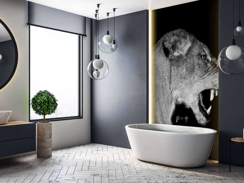 Lioness side view black