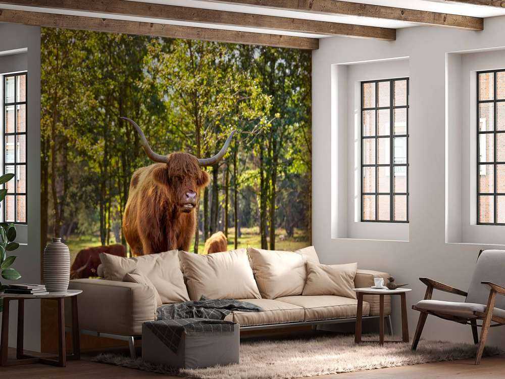 Highlanders in nature reserve