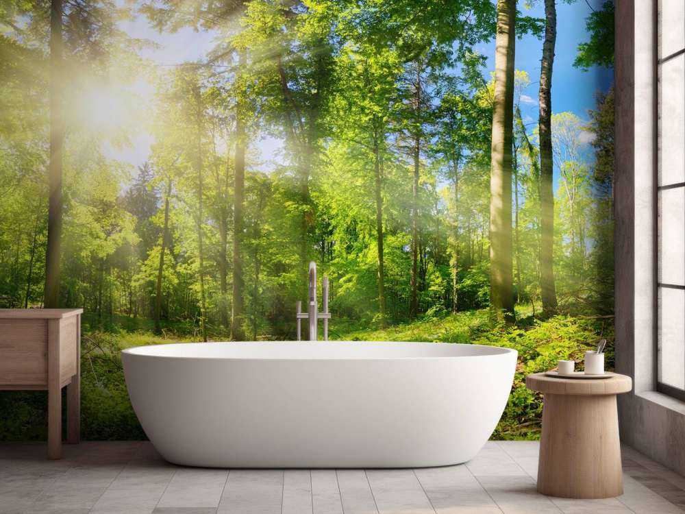 Forest with sunbeams