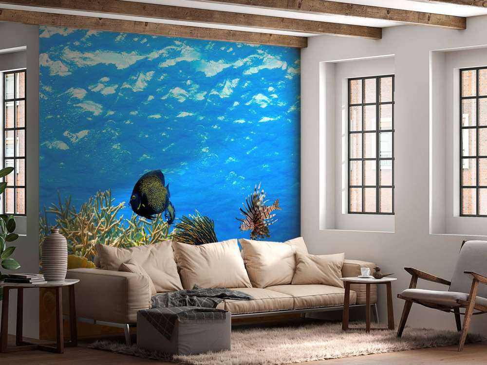 Underwater panorama