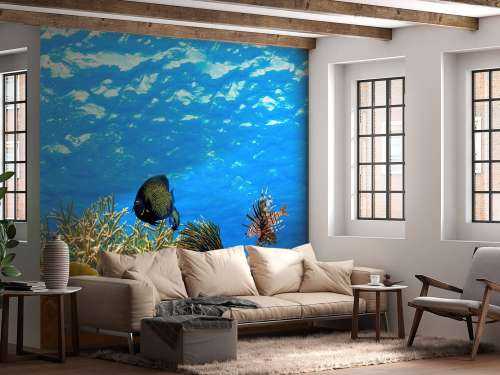 Underwater panorama
