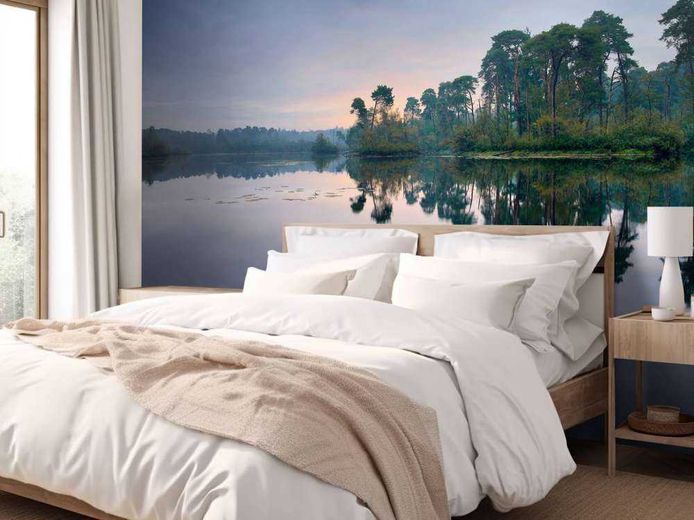 Reflection in forests at sunrise